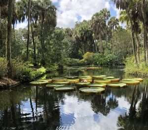 12 Best Cities in Florida for Young Professionals 18 bok tower florida day trip