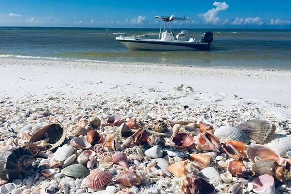 Is There a Ferry To Key West? Yes, Fun Key West Express 3 Ferry to Key west Things to do