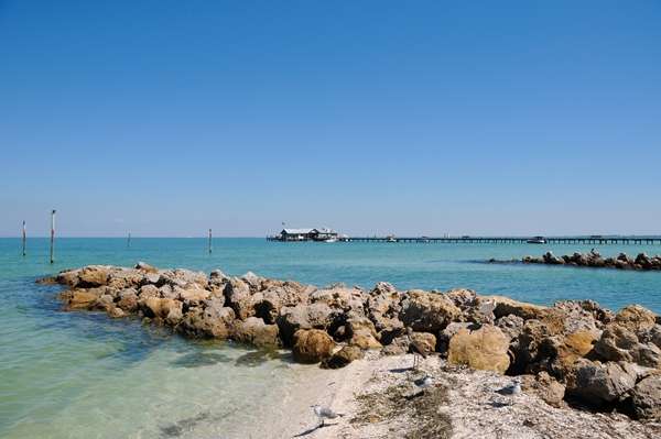 Florida Day Trips from Tarpon Springs Florida 10 anna maria island city pier