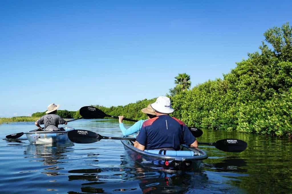 Where is Homosassa Florida Located - Nature and Serenity in Paradise 4 homosassa kayaking