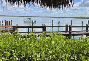 Marco Island: Hidden Gems - Most Visitors Miss These 7 marco island from miami - view Crabby Lady