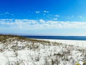 Florida Panhandle 10 pensacola beach perdido key clearwater waters in Florida