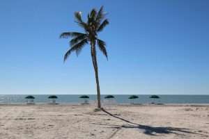 Sanibel Island Florida Lodging Island Inn
