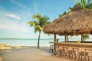 Best Places to Stay in Florida Keys on the Beach 5 places to stay on the beach in Key Largo Bakers Cay