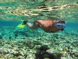 scalloping crystal river