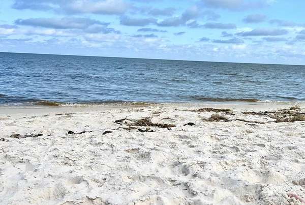 How Far is Tallahassee Florida From the Beach 1 closest beach to Tallahassee - Bald Point Beach