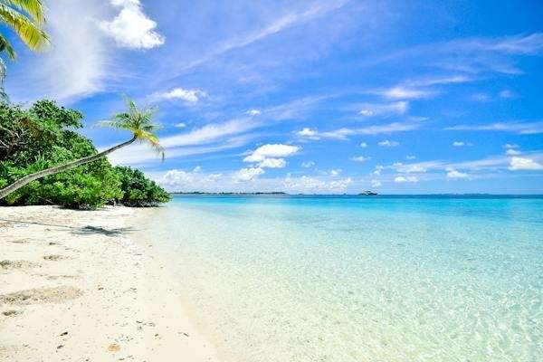 nearest beach to tampa florida - Caladesi Island Beach