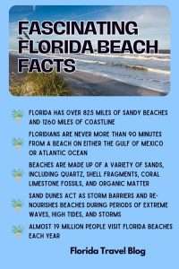 Discover the Best Beaches in Florida for Couples 2 best beach vacations in Florida for couples