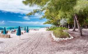 Essential Florida Travel Resources - Make Your Trip Memorable 37 best florida key for families is Marathon