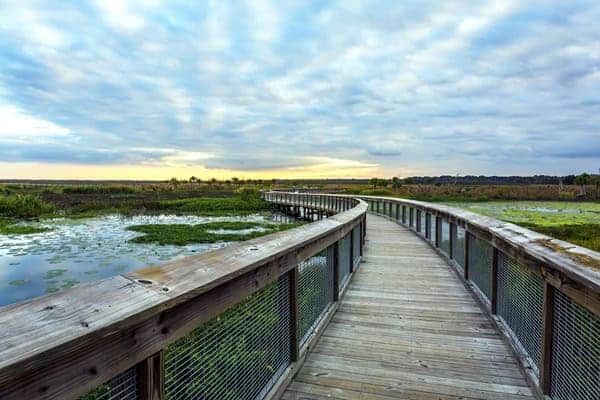 Top 10 Hidden Things To Do in Gainesville, Fl: A Local's Guide 6 things to do in Gainesville Paynes Prarie State Park La Chua Trail