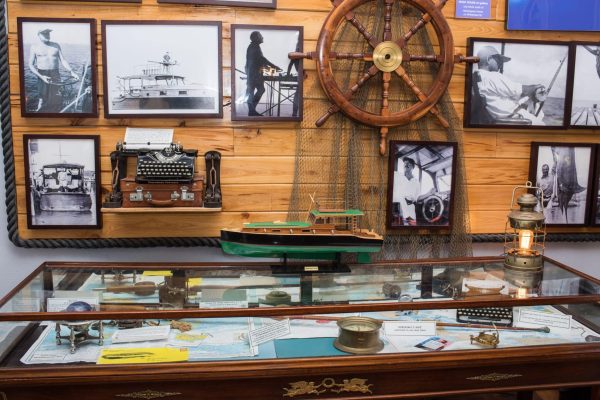 Top 10 Must See Places in Florida Keys 11 Hemingway Home artifacts