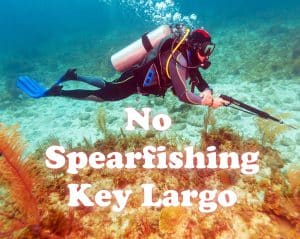 no spearfishing key largo - can you spearfish in Key Largo